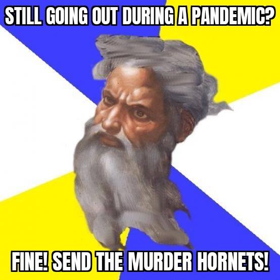 Pandemic murder hornets